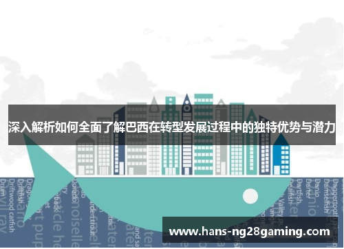 深入解析如何全面了解巴西在转型发展过程中的独特优势与潜力