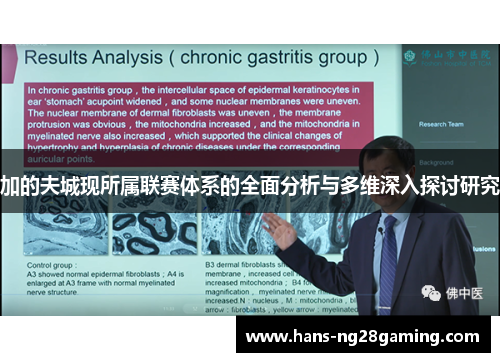 加的夫城现所属联赛体系的全面分析与多维深入探讨研究