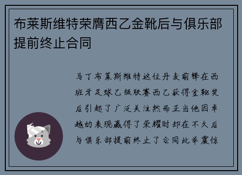 布莱斯维特荣膺西乙金靴后与俱乐部提前终止合同